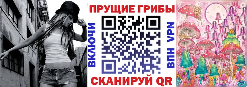 Псилоцибиновые грибы Cubensis  MEGA как зайти  Торопец 