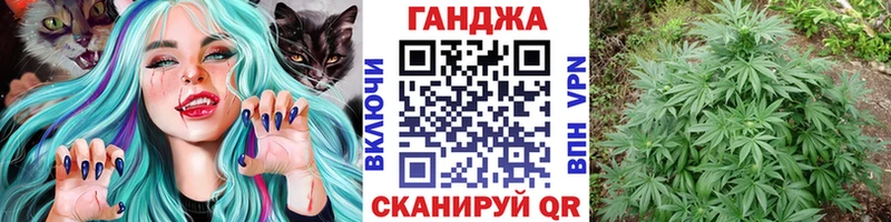 цена наркотик  Торопец  Шишки марихуана Ganja 